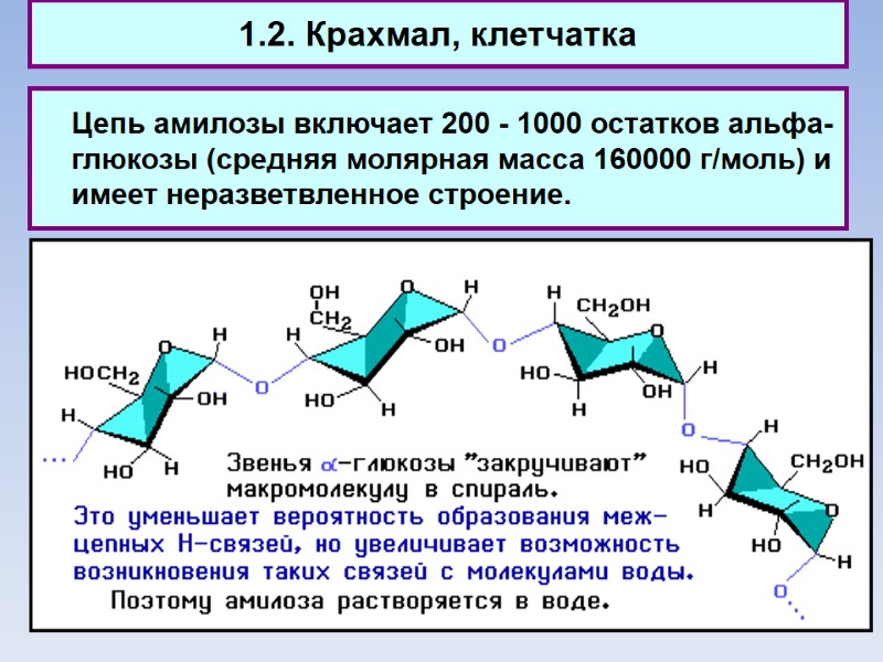 1.2. Крахмал, клетчатка  Цепь амилозы включает 200 - 1000 остатков альфа- глюкозы (средняя